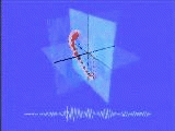 Particle Motion